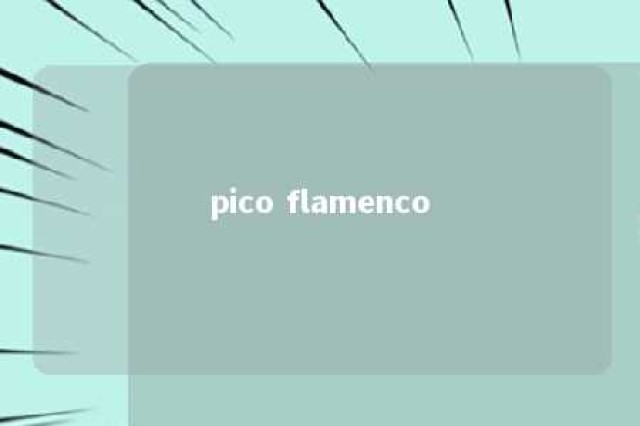 pico flamenco 