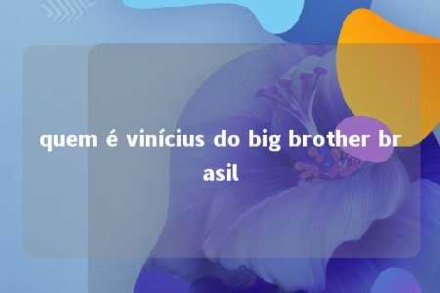 quem é vinícius do big brother brasil 