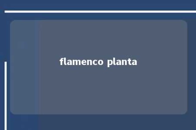 flamenco planta 