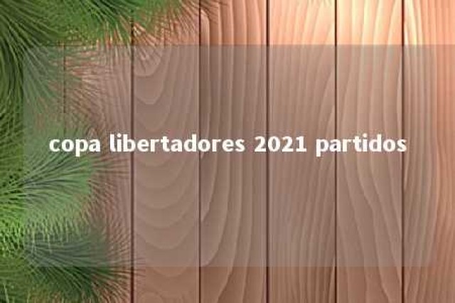 copa libertadores 2021 partidos 