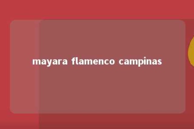 mayara flamenco campinas 