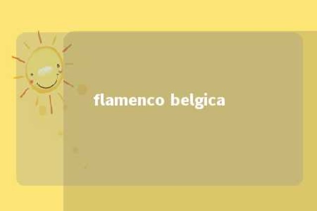 flamenco belgica 