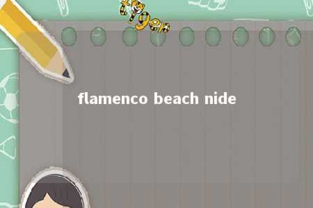 flamenco beach nide 