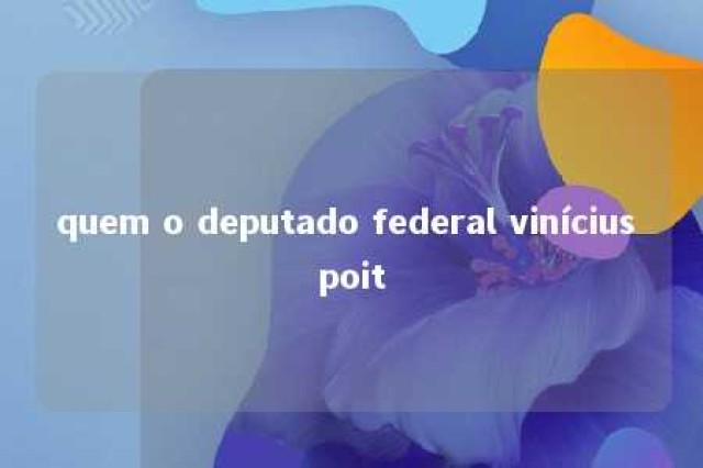 quem o deputado federal vinícius poit 