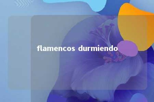 flamencos durmiendo 