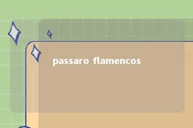 passaro flamencos 