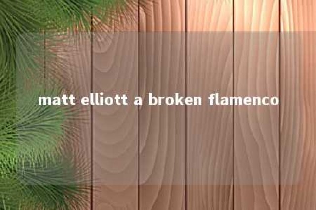 matt elliott a broken flamenco 