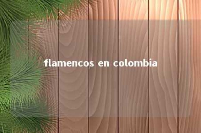 flamencos en colombia 