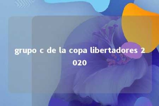 grupo c de la copa libertadores 2020 