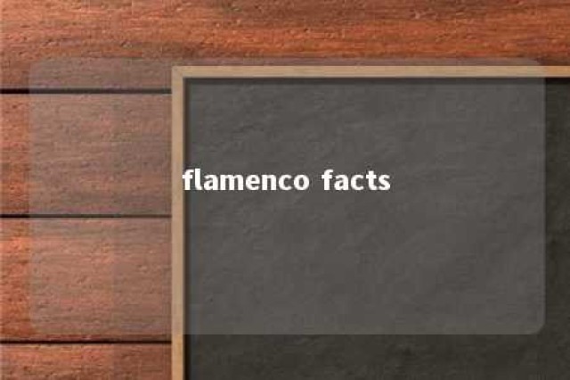 flamenco facts 