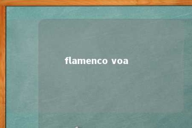 flamenco voa 