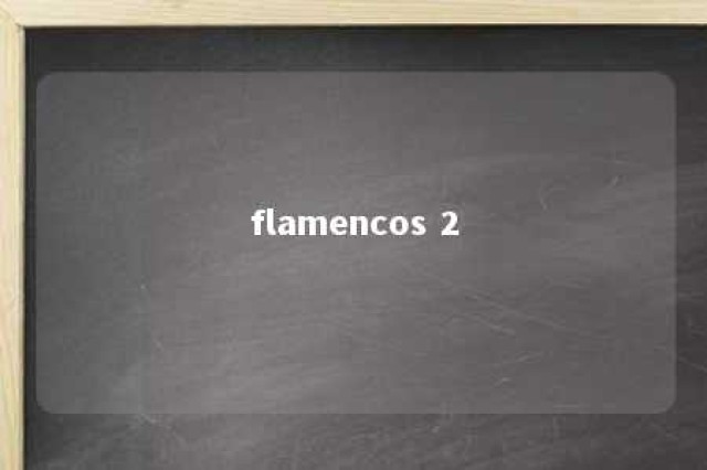 flamencos 2 