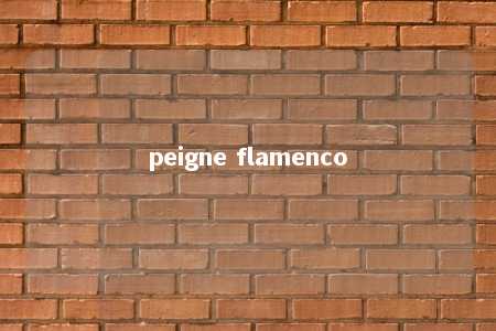 peigne flamenco