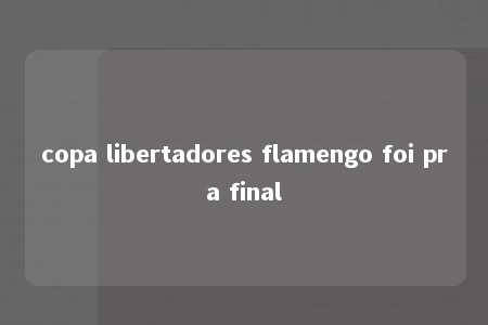 copa libertadores flamengo foi pra final