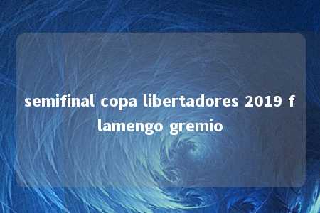 semifinal copa libertadores 2019 flamengo gremio