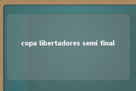 copa libertadores semi final