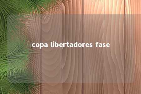 copa libertadores fase