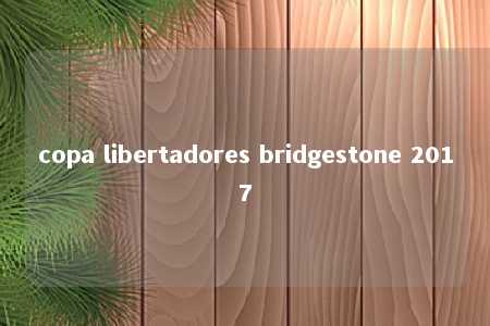 copa libertadores bridgestone 2017