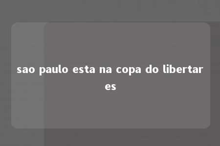 sao paulo esta na copa do libertares