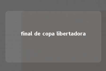 final de copa libertadora