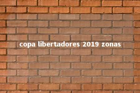 copa libertadores 2019 zonas