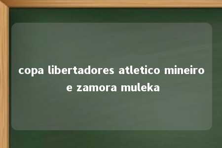 copa libertadores atletico mineiro e zamora muleka