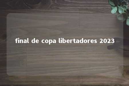 final de copa libertadores 2023