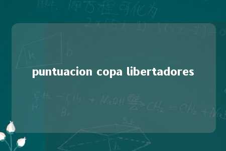 puntuacion copa libertadores