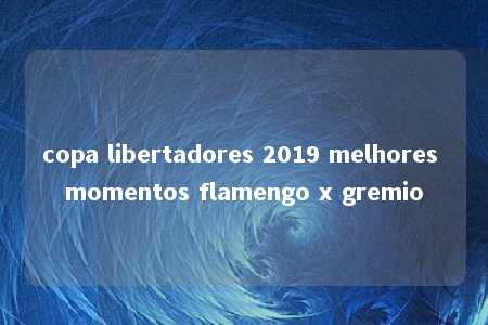 copa libertadores 2019 melhores momentos flamengo x gremio