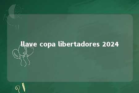 llave copa libertadores 2024