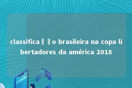 classificação brasileira na copa libertadores da américa 2018