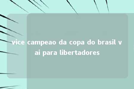 vice campeao da copa do brasil vai para libertadores