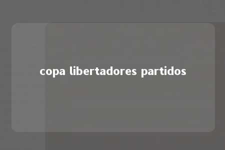 copa libertadores partidos