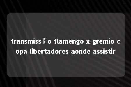 transmissão flamengo x gremio copa libertadores aonde assistir