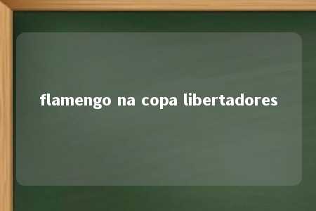 flamengo na copa libertadores