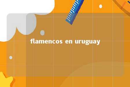 flamencos en uruguay