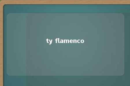 ty flamenco