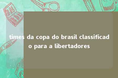 times da copa do brasil classificado para a libertadores