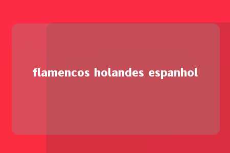 flamencos holandes espanhol