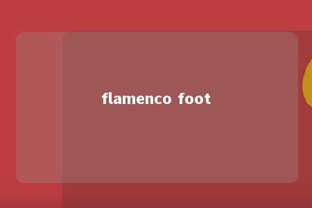 flamenco foot