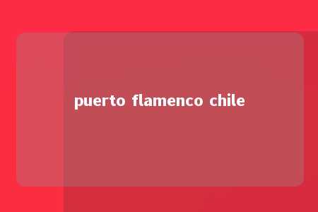 puerto flamenco chile