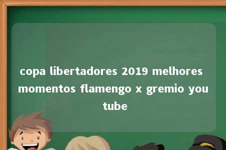 copa libertadores 2019 melhores momentos flamengo x gremio you tube