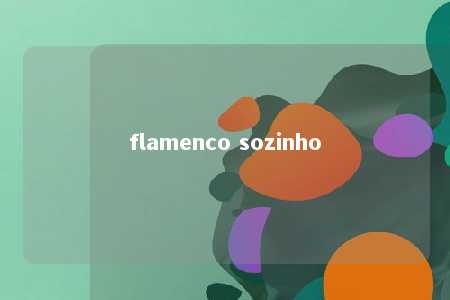 flamenco sozinho