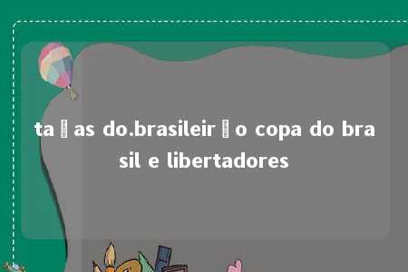 taças do.brasileirão copa do brasil e libertadores