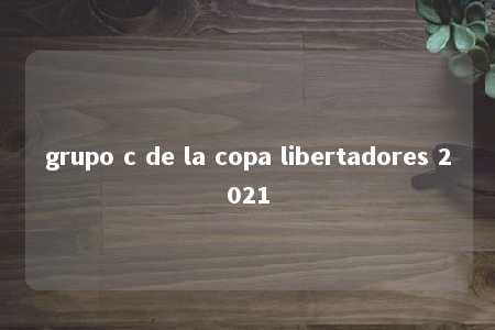 grupo c de la copa libertadores 2021