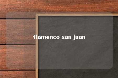 flamenco san juan