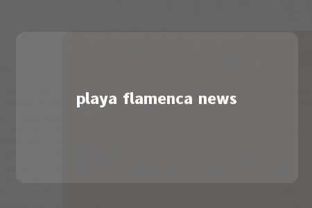 playa flamenca news