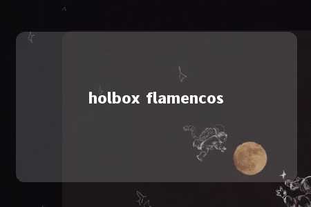 holbox flamencos