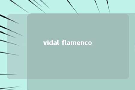 vidal flamenco