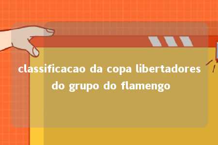 classificacao da copa libertadores do grupo do flamengo